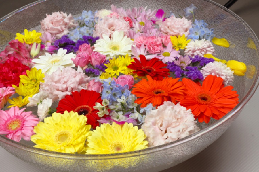 第21回 善光寺花回廊 ながの花フェスタ22